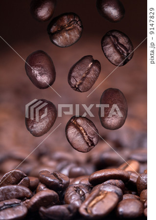 falling roasted coffee beans on coffee background falling roasted coffee beans on coffee background 9147829