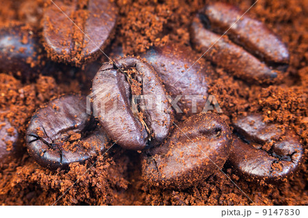ground and roasted coffee beans ground and roasted coffee beans 9147830