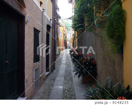 ポルトフィーノの路地 9148235