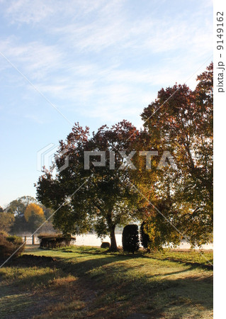 浮島さん 9149162