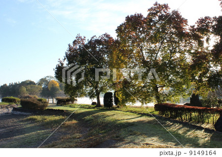 浮島さん, 9149164