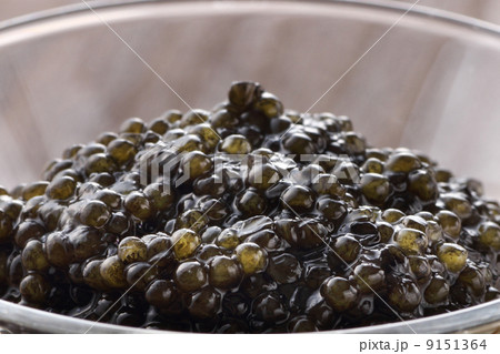 キャビアのアップ 9151364