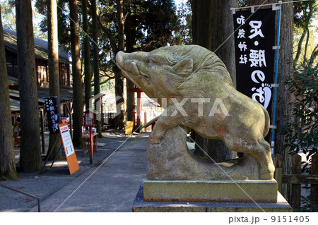 和気神社の守護神の猪像 9151405
