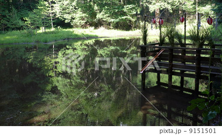 神池の波紋 9151501