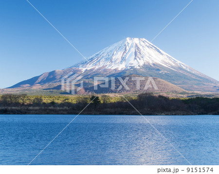 精進湖畔から冠雪の富士を眺める 精進湖畔から冠雪の富士を眺める 9151574