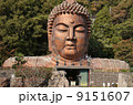 大仏 9151607