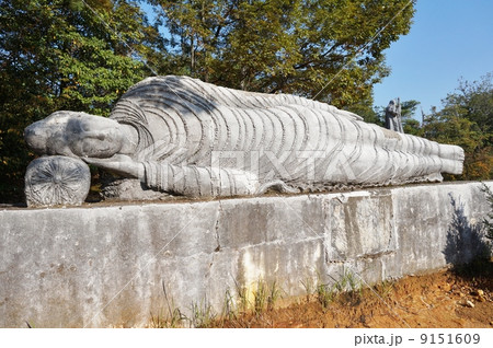 涅槃像 涅槃像 9151609