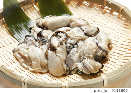 剥き牡蠣 9151696