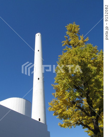 紅葉の銀杏と清掃工場 9152082