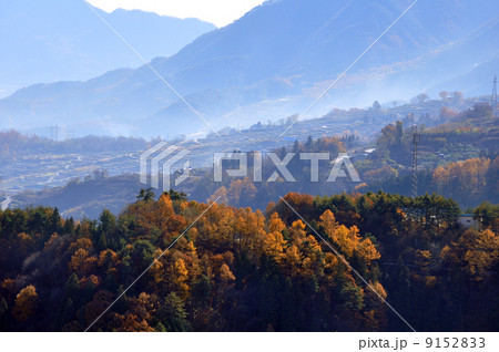 晩秋の姨捨 9152833