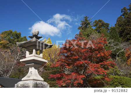 観心寺 紅葉の写真素材