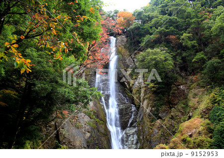 五家荘の滝 せんだんとどろ 五家荘の滝 せんだんとどろ 9152953