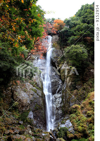 五家荘の滝 せんだんとどろ 五家荘の滝 せんだんとどろ 9152954
