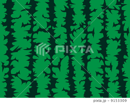 スイカ柄のイラスト素材