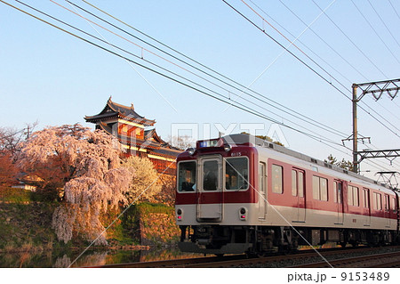 近鉄電車と大和郡山城の枝垂れ桜 9153489