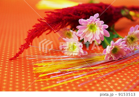 秋冬のお祝いイメージ・ケイトウとスプレーマムの花に金銀水引・麻の葉柄和紙バック横位置 9153513