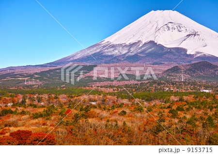 十里木別荘地の紅葉と富士山 十里木別荘地の紅葉と富士山 9153715