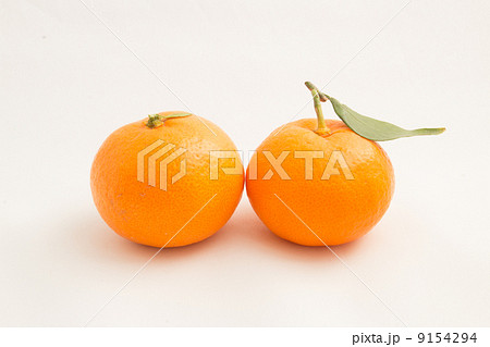 葉付きみかん 葉付きみかん 9154294