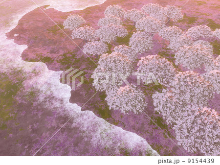 桜の園 9154439