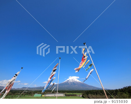 富士山と鯉のぼり 富士山と鯉のぼり 9155030