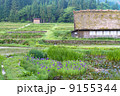 白川郷の風景 白川郷の風景 9155344
