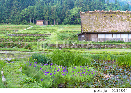 白川郷の風景 白川郷の風景 9155344