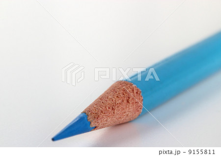 色鉛筆 9155811