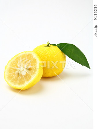 柚子カット 9156256