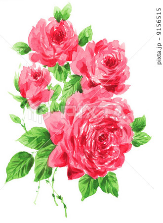 薔薇の絵 hqdefault.jpg