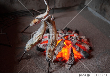 岩魚塩焼き 岩魚塩焼き 9156571