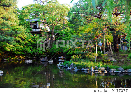 円山公園・ひょうたん池の鏡映し 円山公園・ひょうたん池の鏡映し 9157077