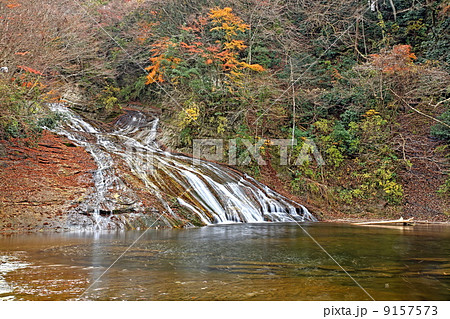 晩秋の粟又の滝 9157573