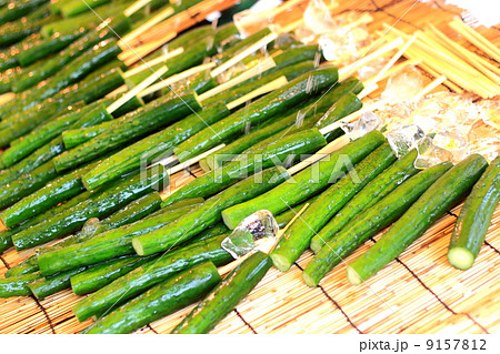 キュウリの一本漬け 9157812