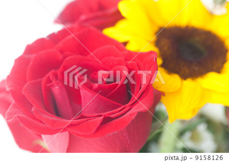 bouquet of red roses and sunflower in a vase bouquet of red roses and sunflower in a vase 9158126