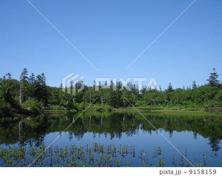 夏の神仙沼 夏の神仙沼 9158159