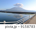 噴火する桜島　 9158783