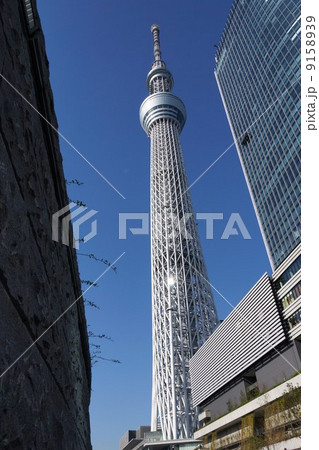 東京スカイツリー 9158939