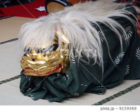 獅子舞 獅子舞 9159369