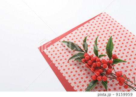 正月イメージ　南天 9159959
