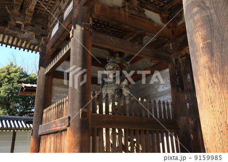 仁和寺の仁王像 9159985
