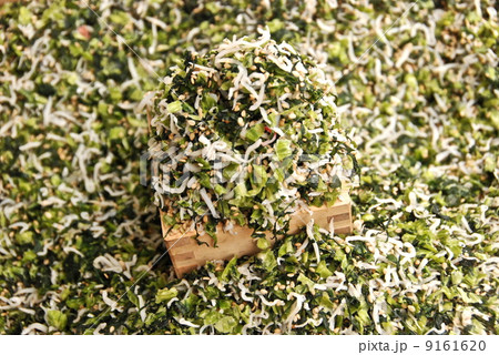 野沢菜入りのチリメンジャコ･枡（東寺／京都市南区九条町） 9161620