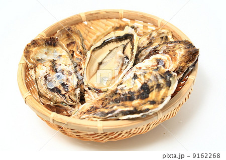 牡蠣 9162268
