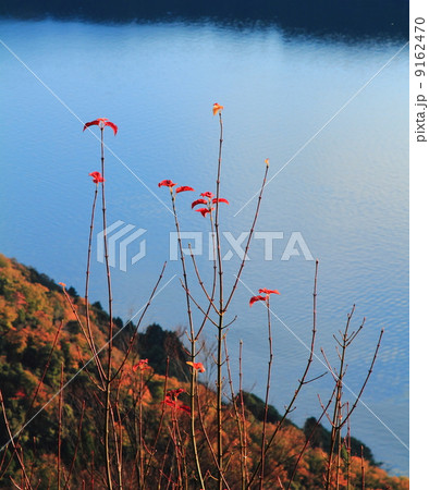 晩秋の三方五湖 9162470