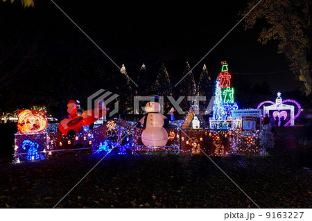 元淵江公園の光の祭典2013 元淵江公園の光の祭典2013 9163227