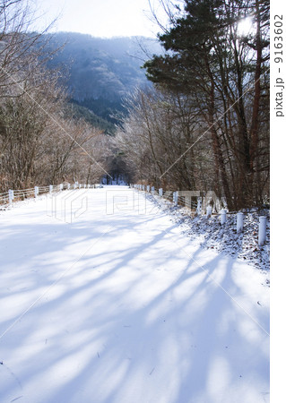 晴れた冬の雪道 9163602