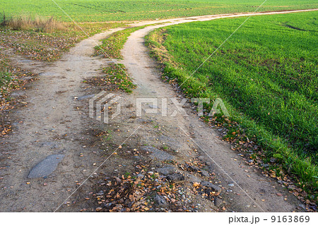 Line of rural road. Line of rural road. 9163869