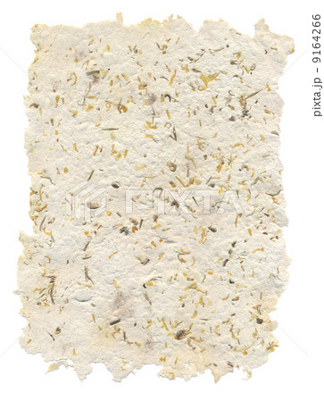 Handmade paper with seeds and petals inside Handmade paper with seeds and petals inside 9164266
