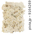 Handmade paper with leaves and flowers inside 9164269