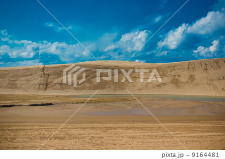 鳥取砂丘 9164481