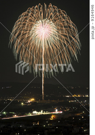 花火 9164946